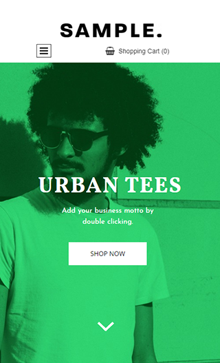 Weblogic Websites Design Builder Packages & Pricing for Small Business